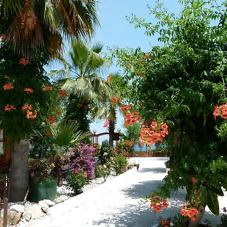 Atici Antalya