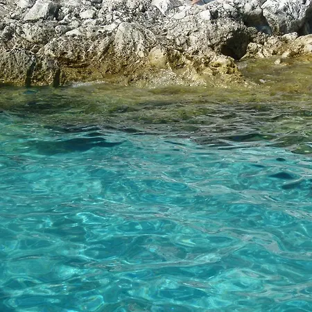 Atici