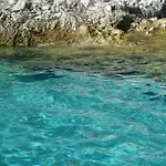 Atici